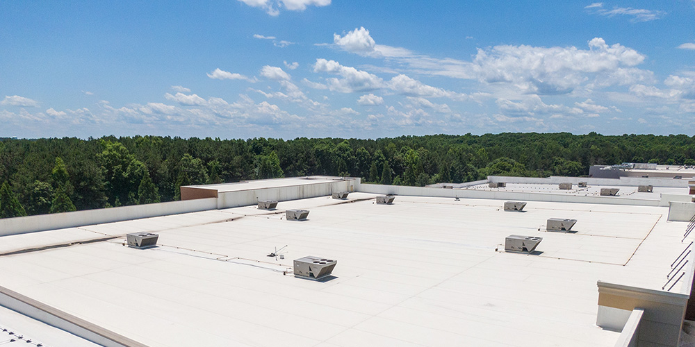 Blank Rooftop 2
